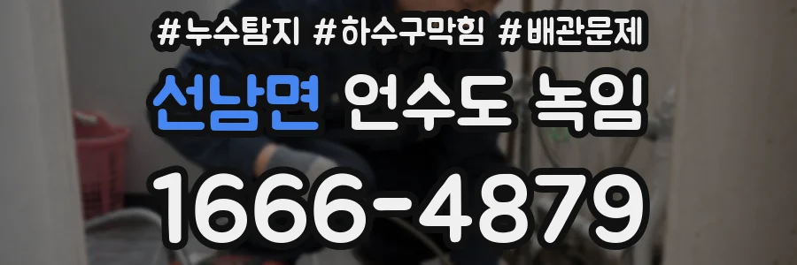 선남면 언수도 녹임