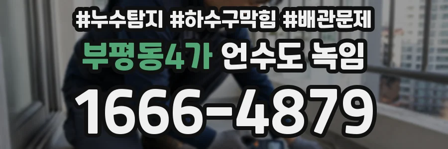 부평동4가 언수도 녹임