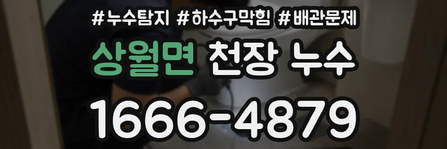 상월면 천장 누수