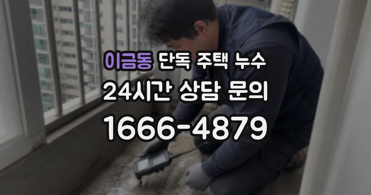이금동 단독 주택 누수