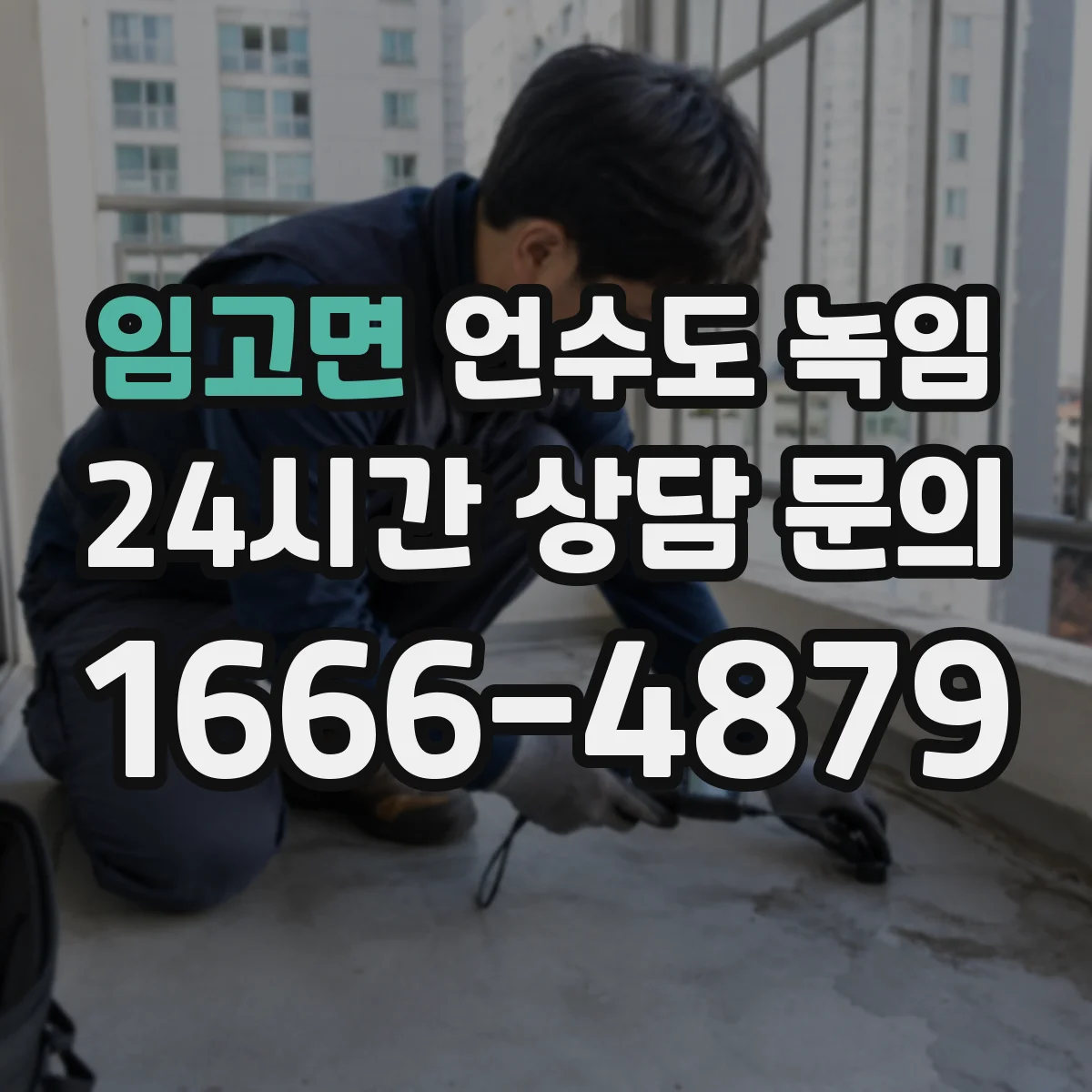 임고면 언수도 녹임
