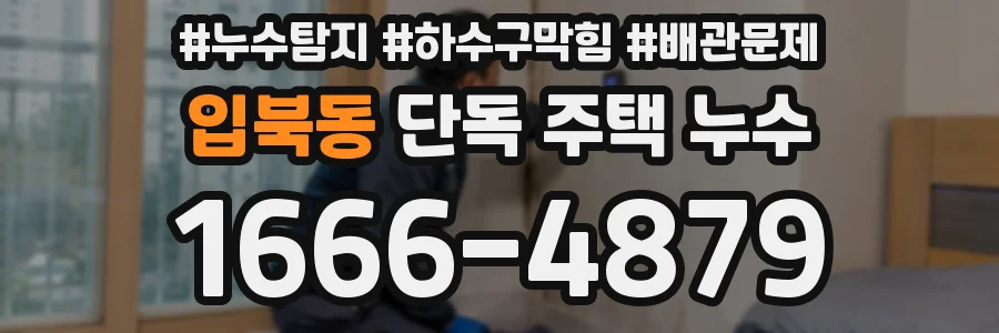 입북동 단독 주택 누수