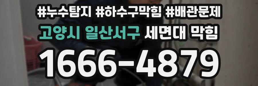 고양시 일산서구 세면대 막힘