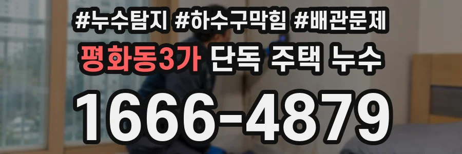 평화동3가 단독 주택 누수