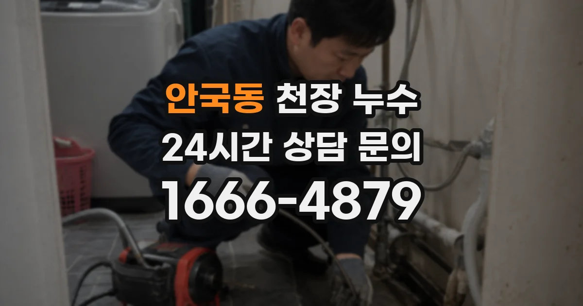 안국동 천장 누수