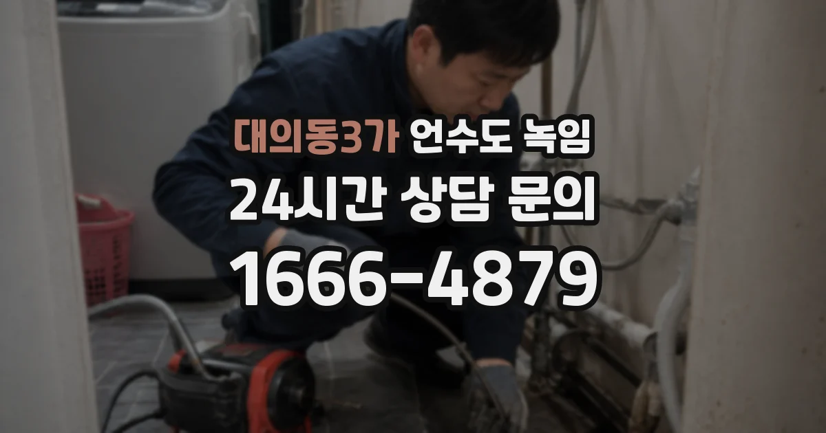 대의동3가 언수도 녹임