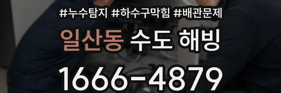일산동 수도 해빙