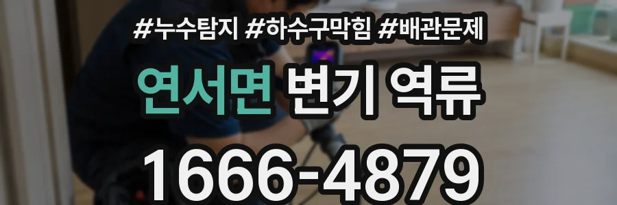 연서면 변기 역류