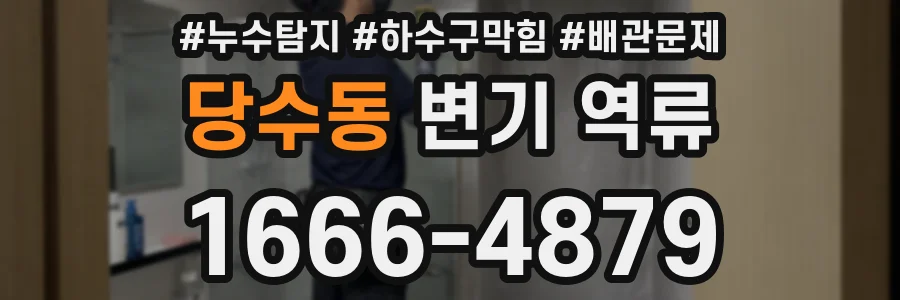 당수동 변기 역류