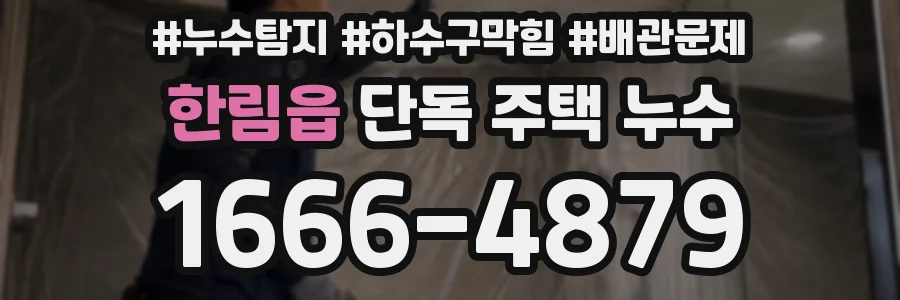 한림읍 단독 주택 누수
