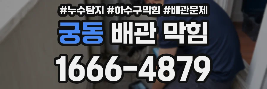 궁동 배관 막힘