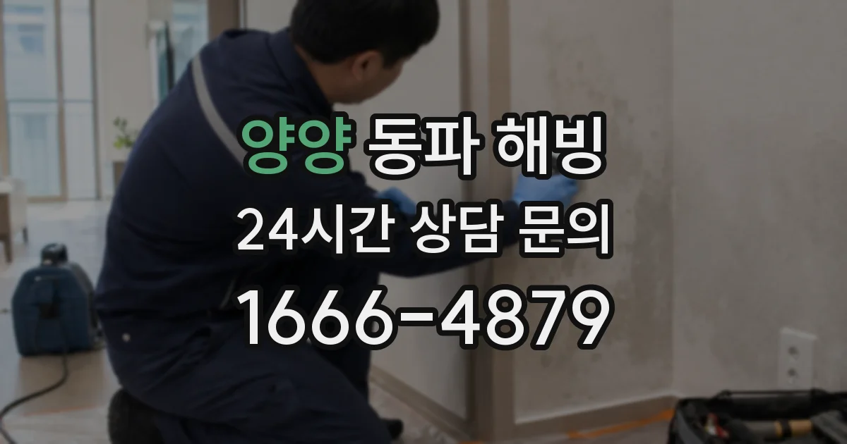 양양 동파 해빙