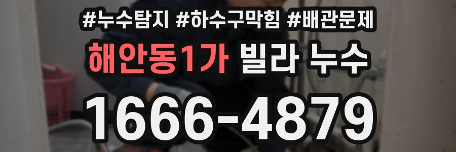 해안동1가 빌라 누수