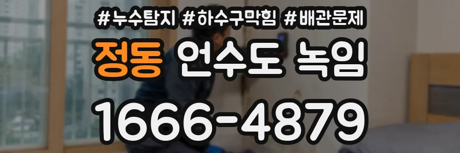정동 언수도 녹임