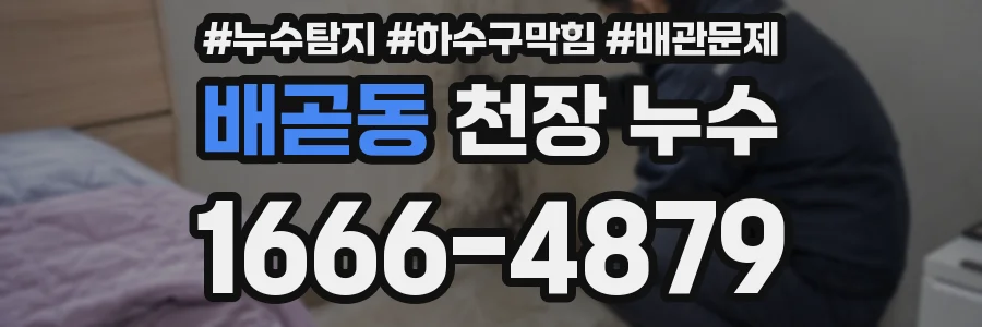 배곧동 천장 누수