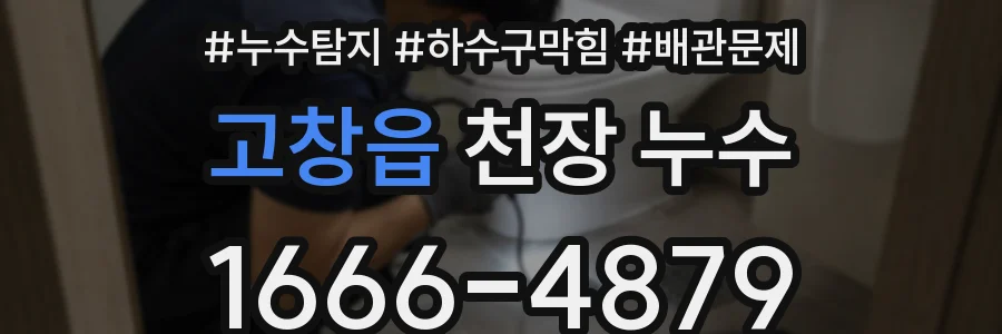 고창읍 천장 누수