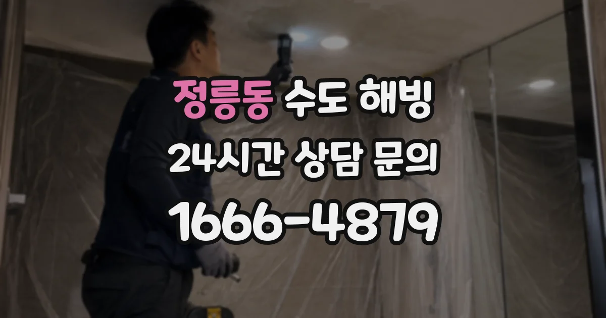 정릉동 수도 해빙