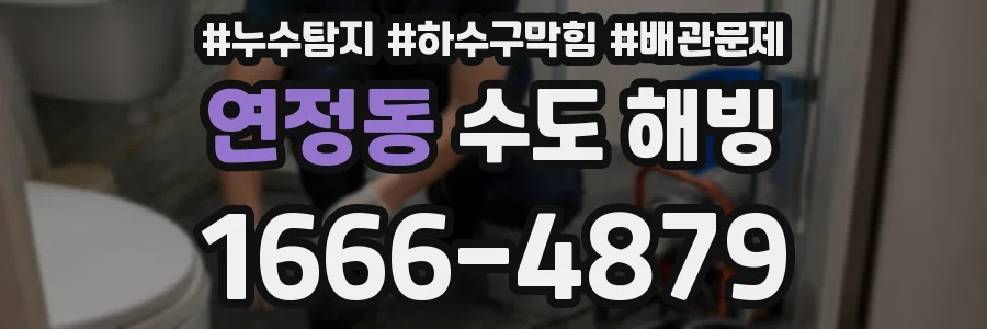 연정동 수도 해빙