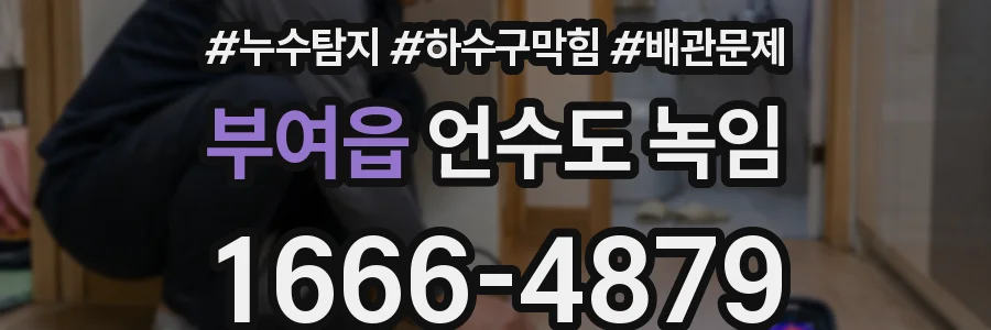 부여읍 언수도 녹임