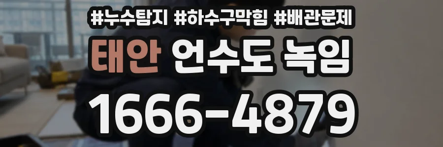 태안 언수도 녹임