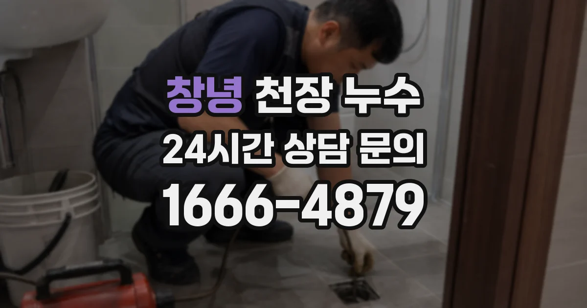창녕 천장 누수