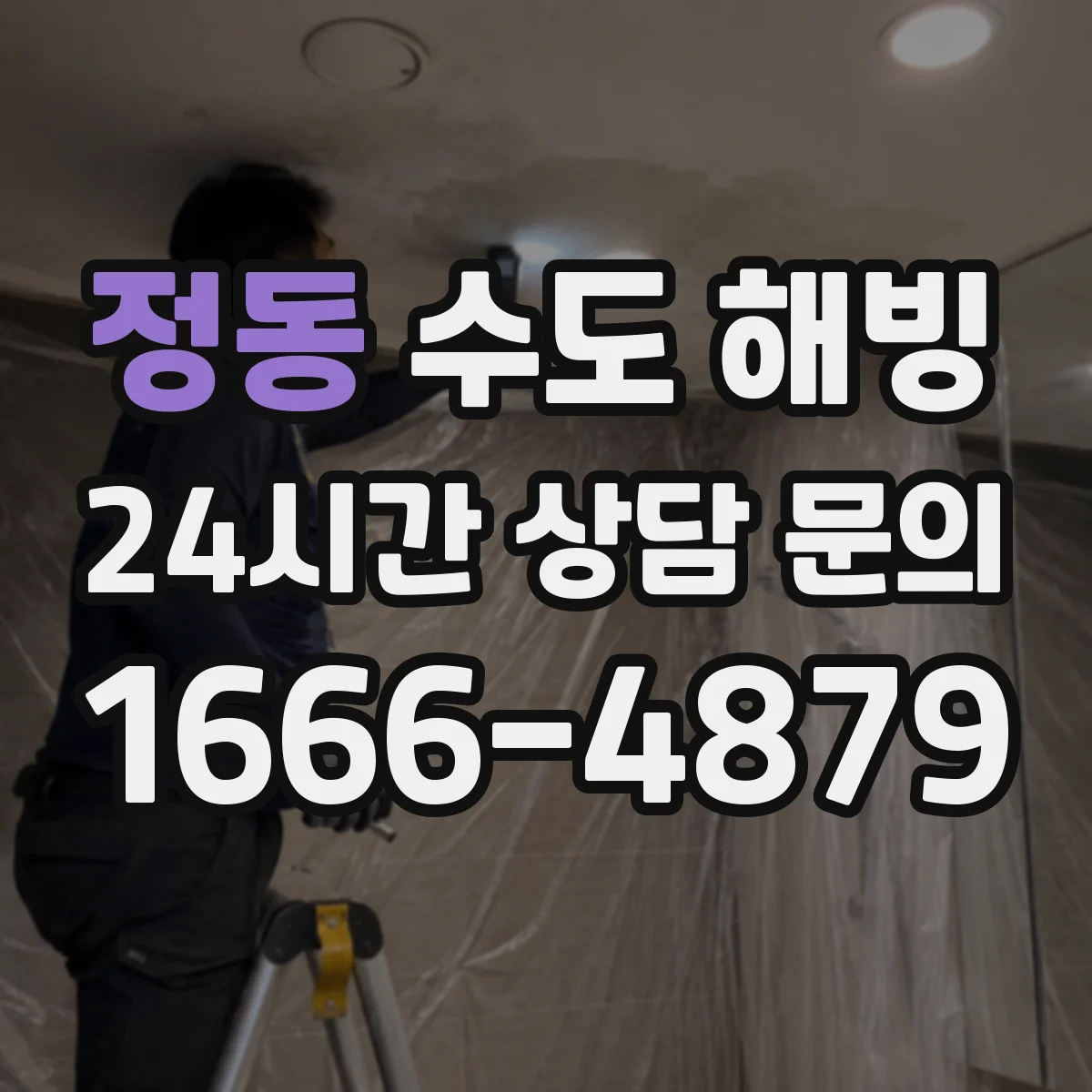 정동 수도 해빙