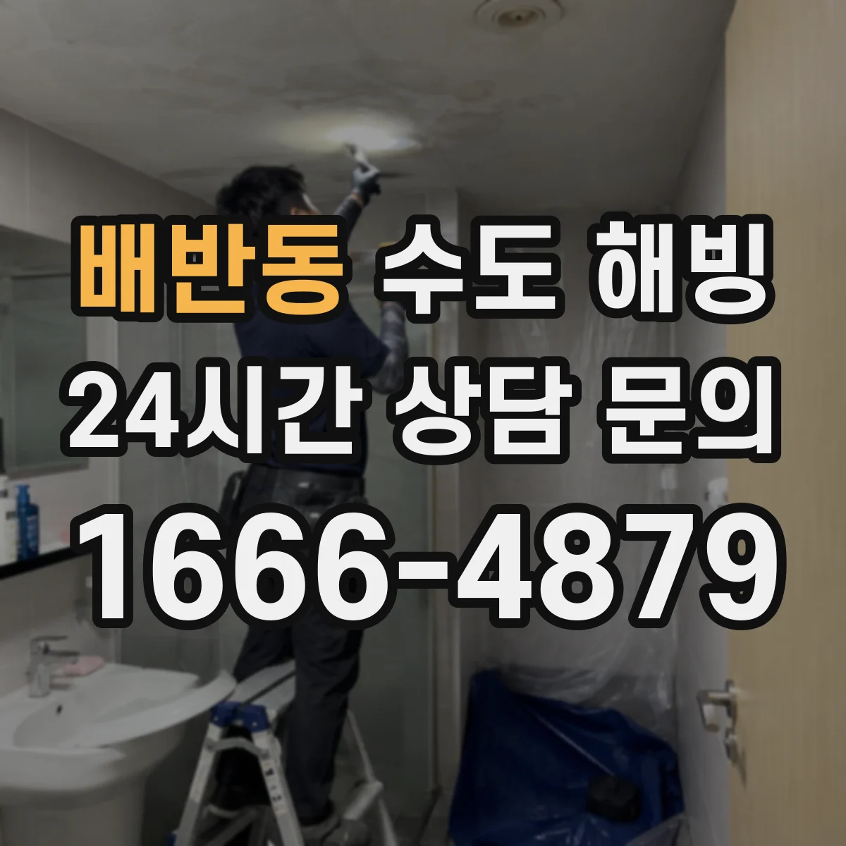 배반동 수도 해빙