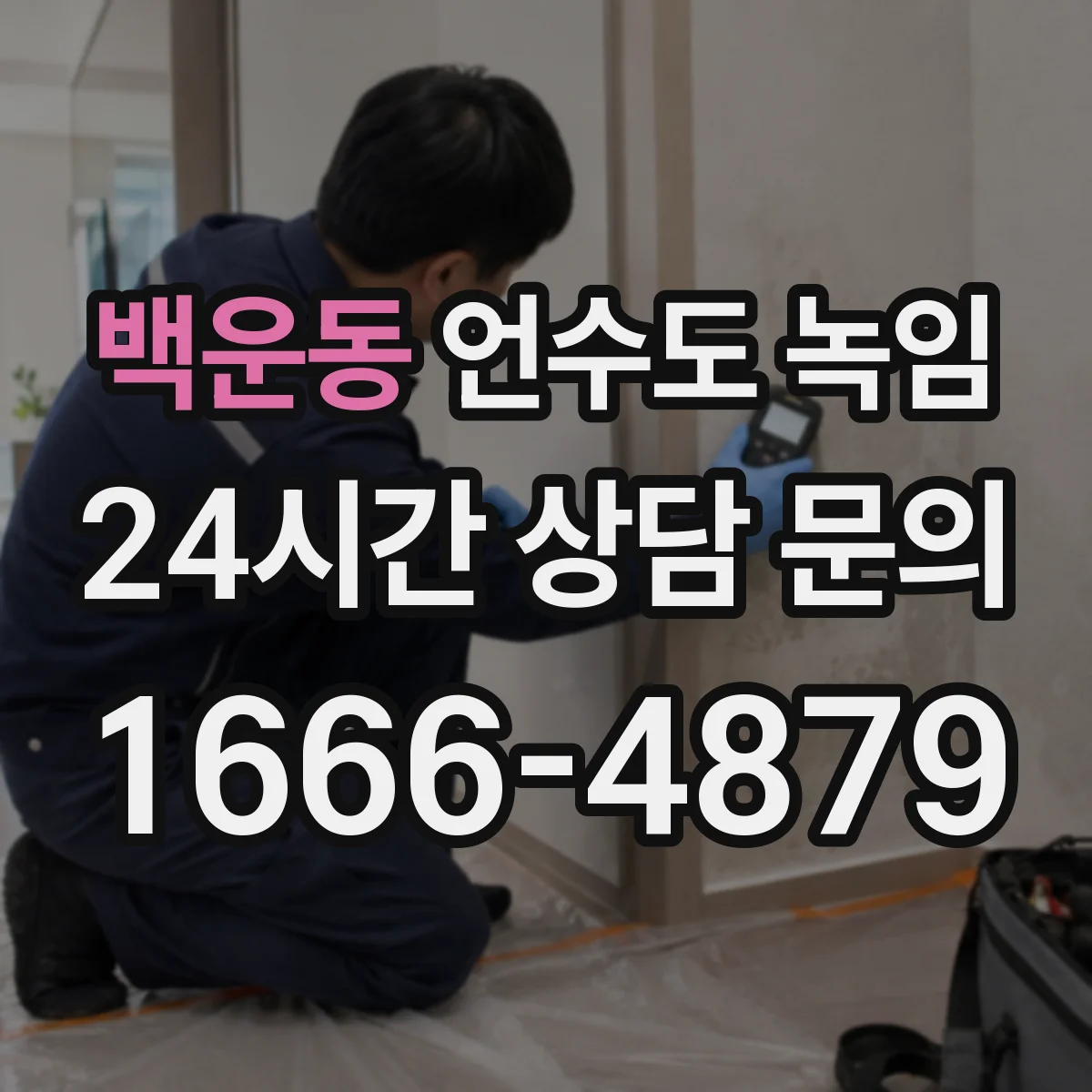 백운동 언수도 녹임