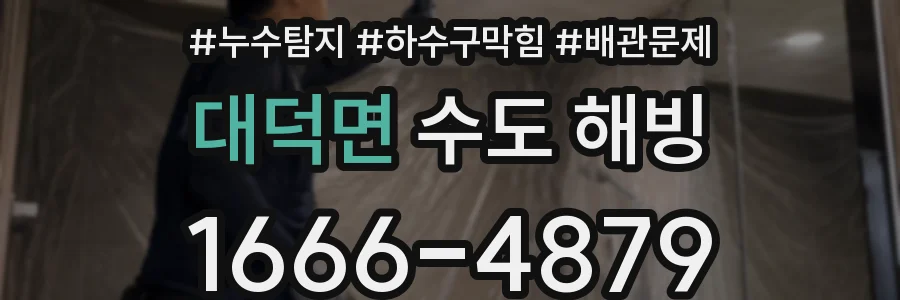 대덕면 수도 해빙