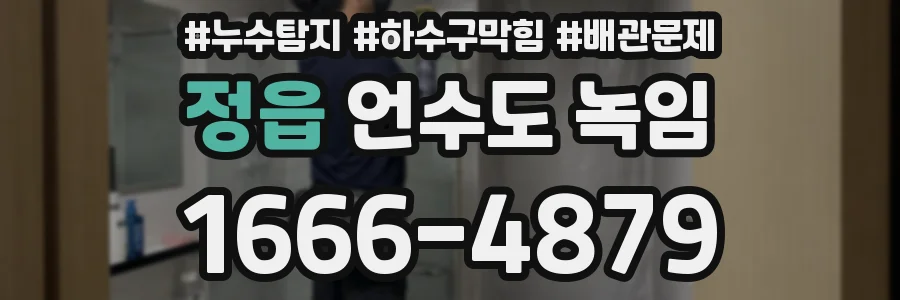 정읍 언수도 녹임
