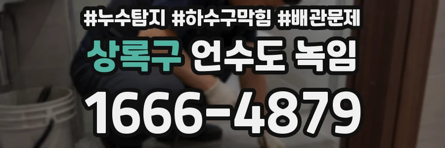 상록구 언수도 녹임