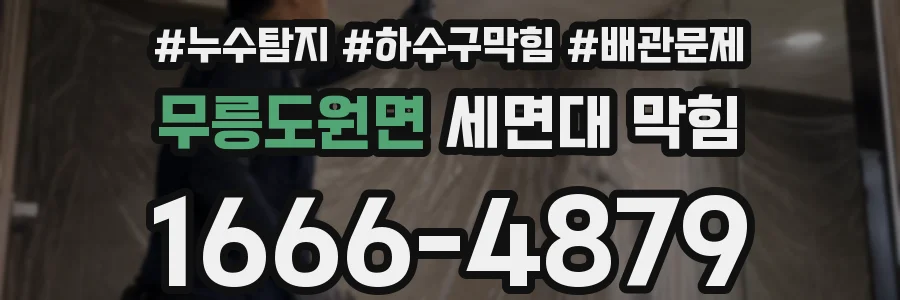 무릉도원면 세면대 막힘
