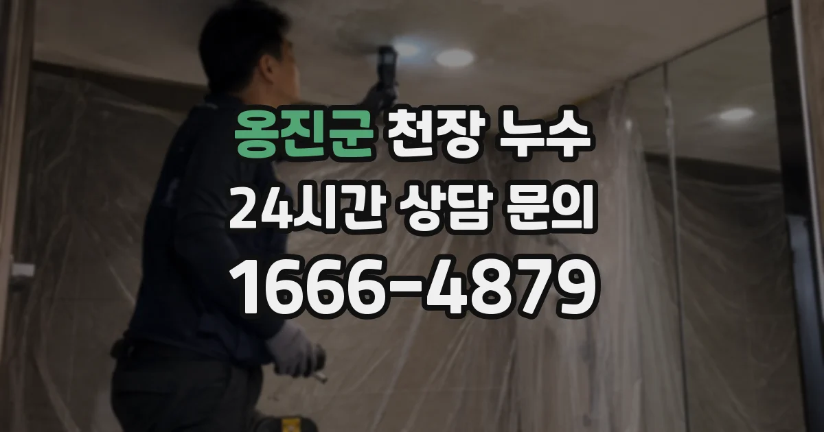 옹진군 천장 누수
