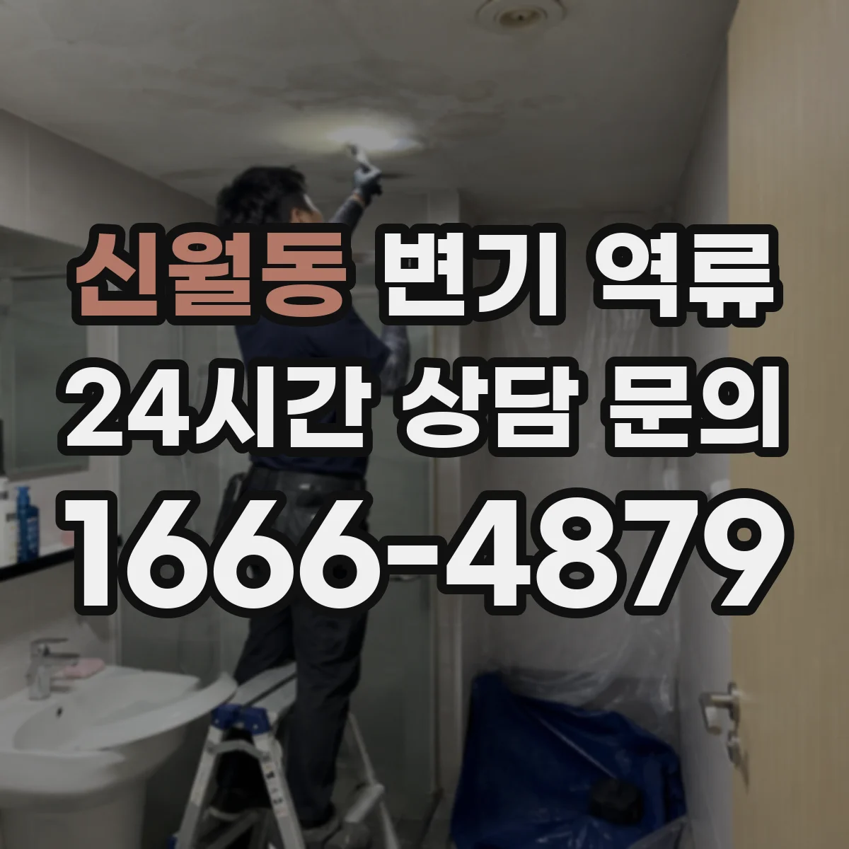 신월동 변기 역류