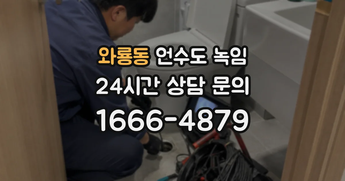 와룡동 언수도 녹임