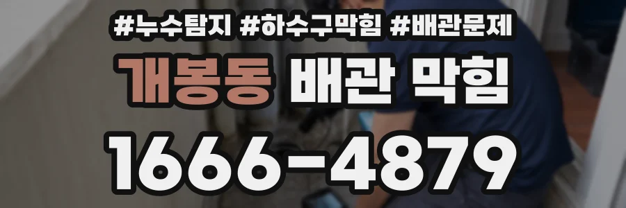 개봉동 배관 막힘
