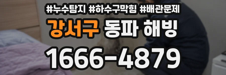 강서구 동파 해빙
