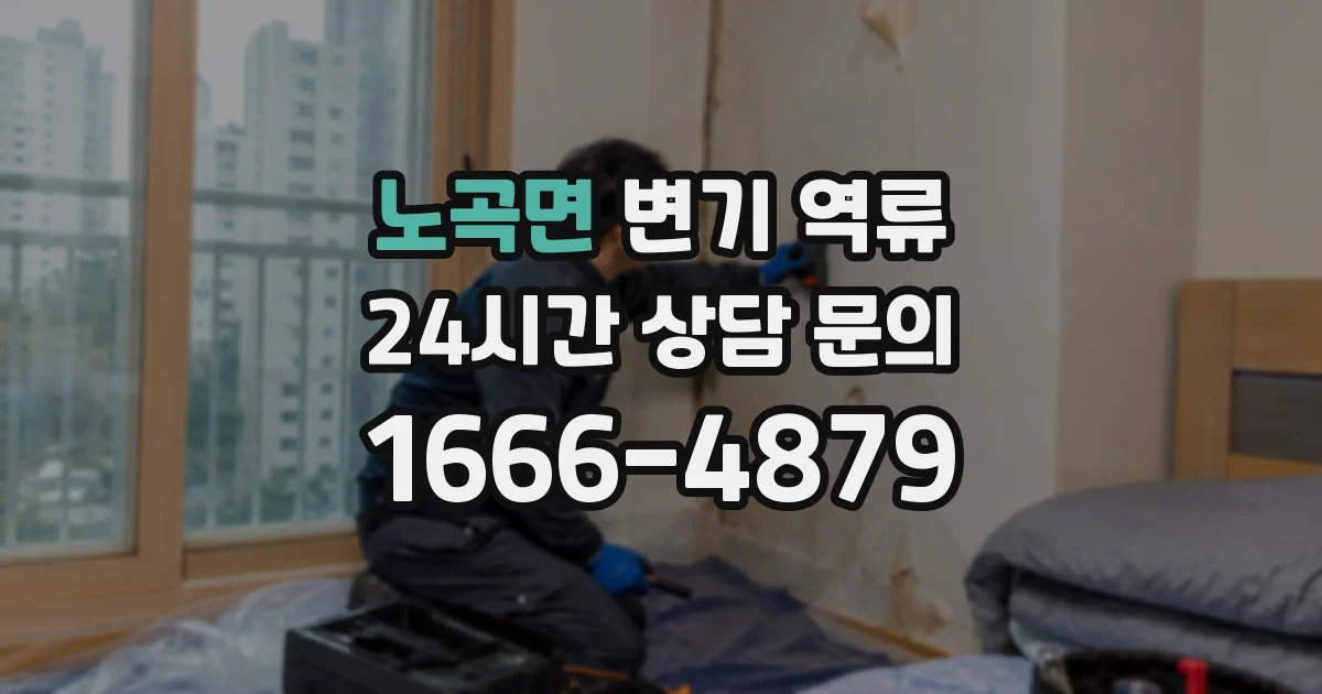 노곡면 변기 역류