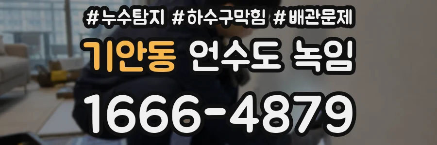 기안동 언수도 녹임