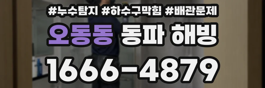 오동동 동파 해빙