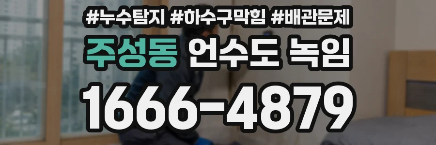 주성동 언수도 녹임