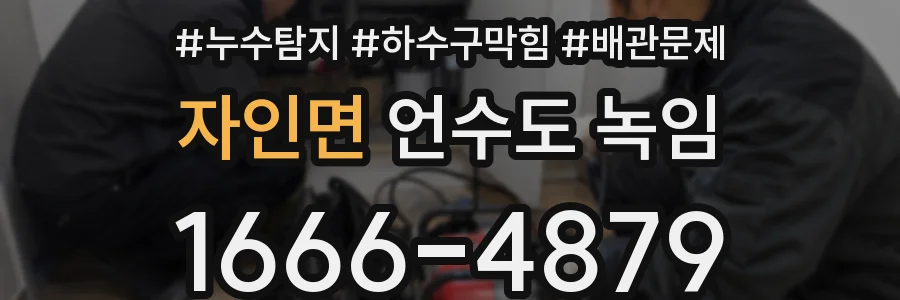 자인면 언수도 녹임