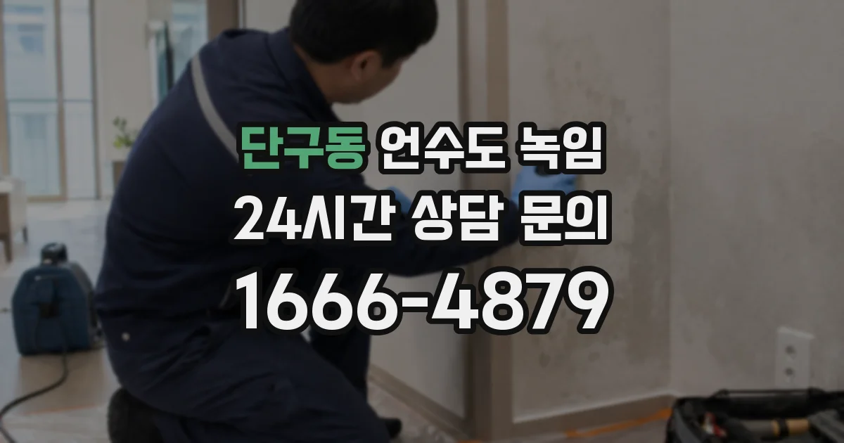 단구동 언수도 녹임