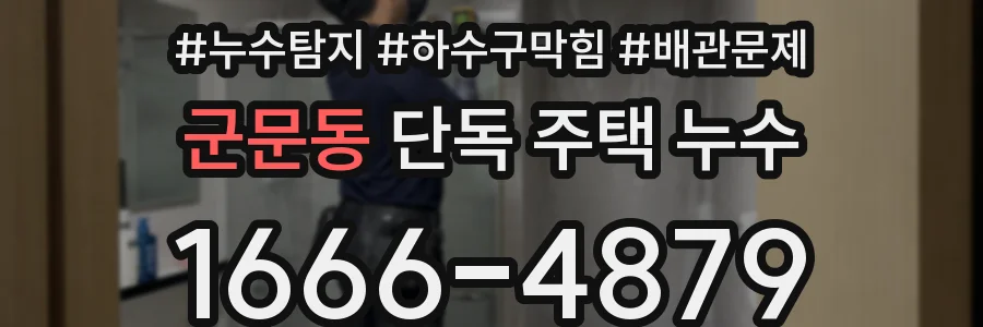 군문동 단독 주택 누수
