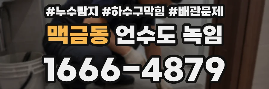 맥금동 언수도 녹임
