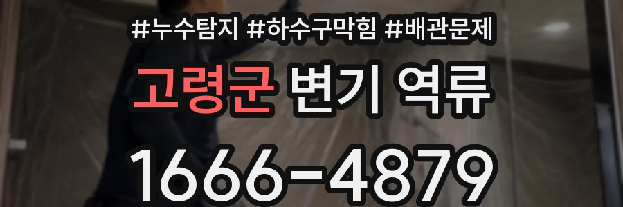 고령군 변기 역류