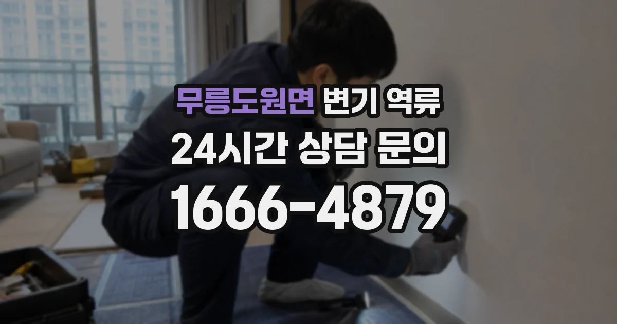무릉도원면 변기 역류