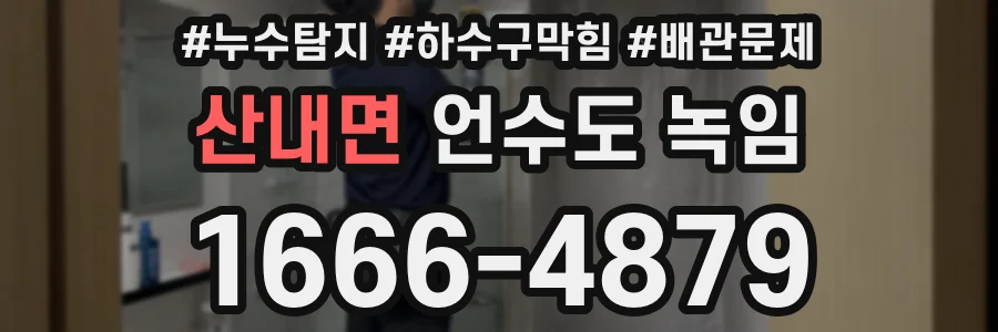 산내면 언수도 녹임