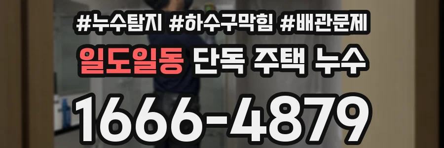 일도일동 단독 주택 누수