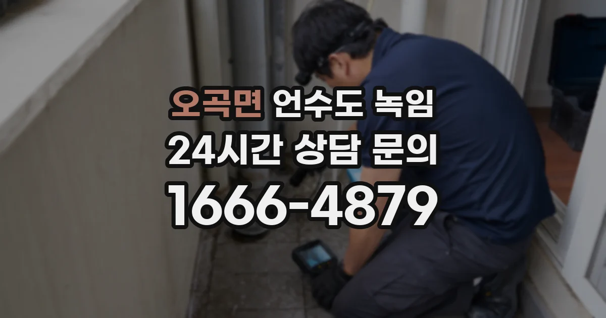 오곡면 언수도 녹임